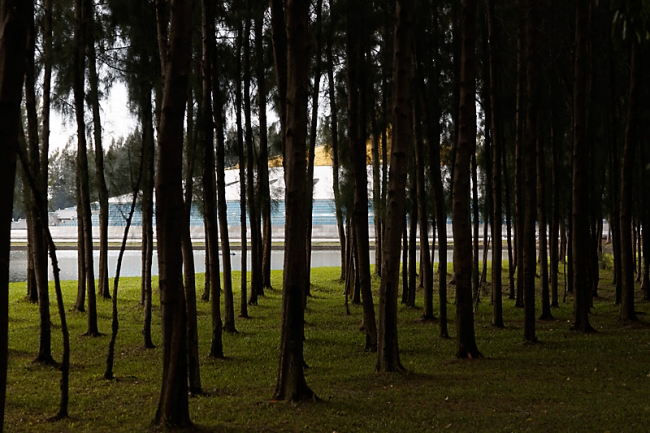 Wat Dhammakaya-MAI14-017